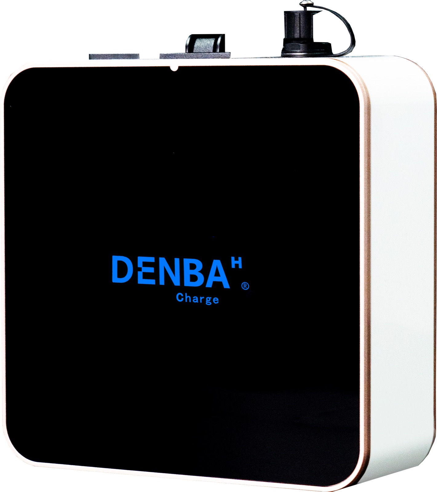 DENBA Health Charge本体