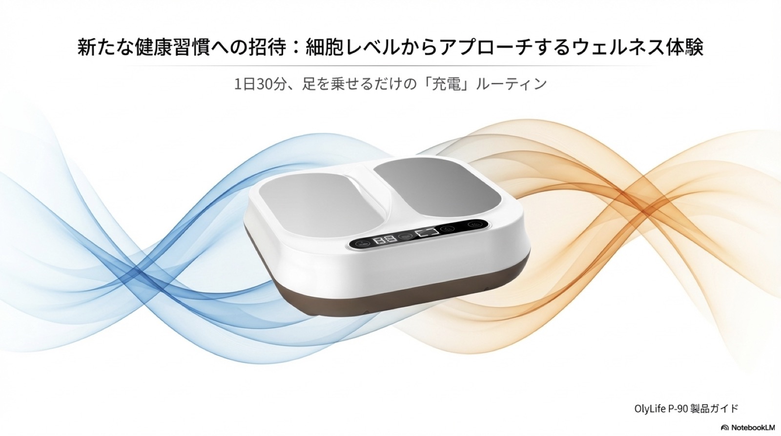OlyLife P-90製品ガイドのイメージ